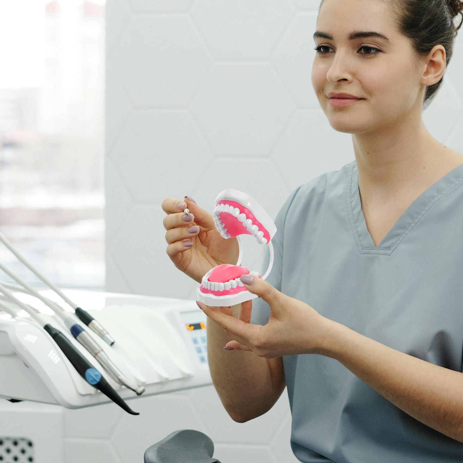 PRETYZOOM Modello Dentale per Studio Igiene Orale Bianco in Pvc con Radici, Superficie Facile da Pulire, Struttura Realistica per Studenti e Insegnamento Completo