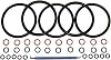 (5 Sets, 36 Piece) Color Coded Gasket Set for Cornelius Home Brew Keg [w/o-Ring Pick] - Universal Kit with Orings for Ball Lock and Pin Lock Style Kegs by Captain O-Ring