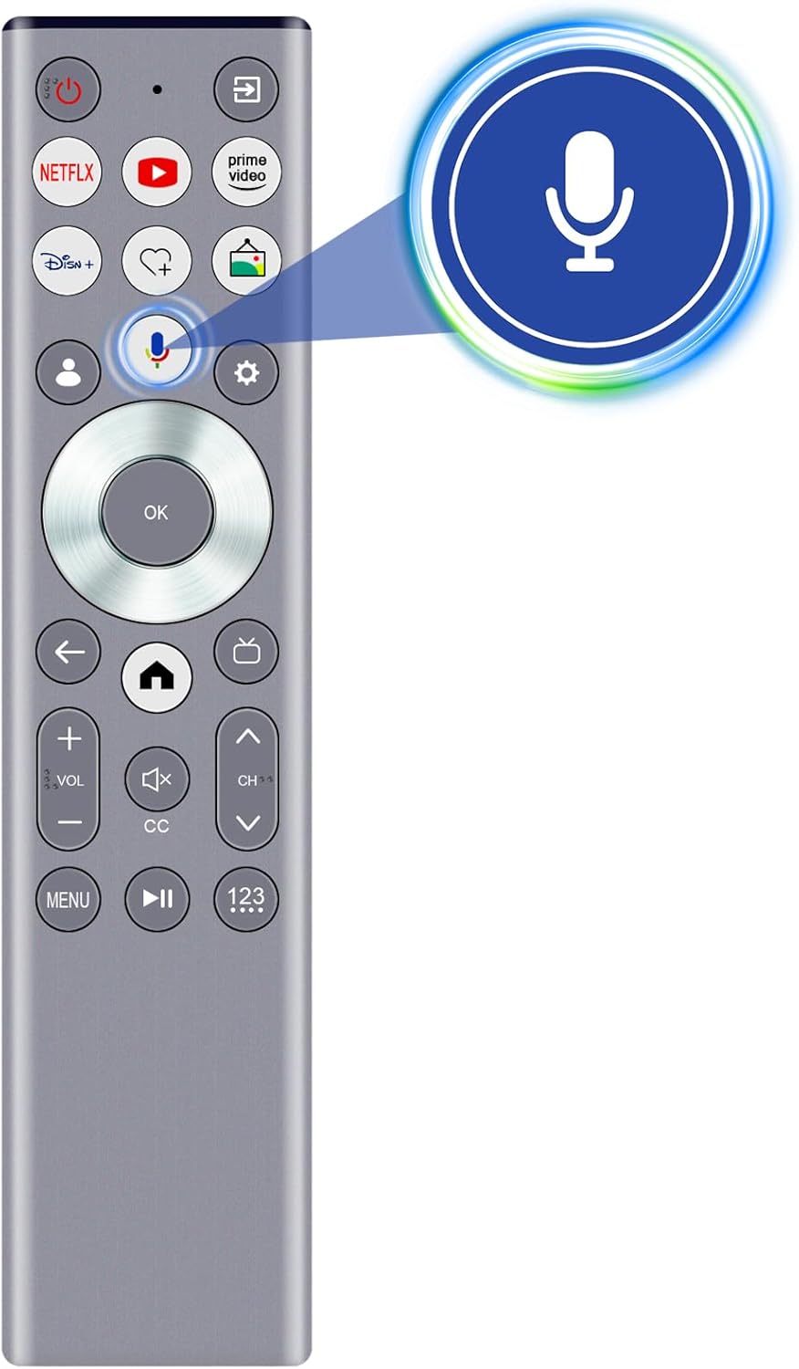 Close-up of the ERF6G80H remote control showing the voice button and a graphic indicating voice input.