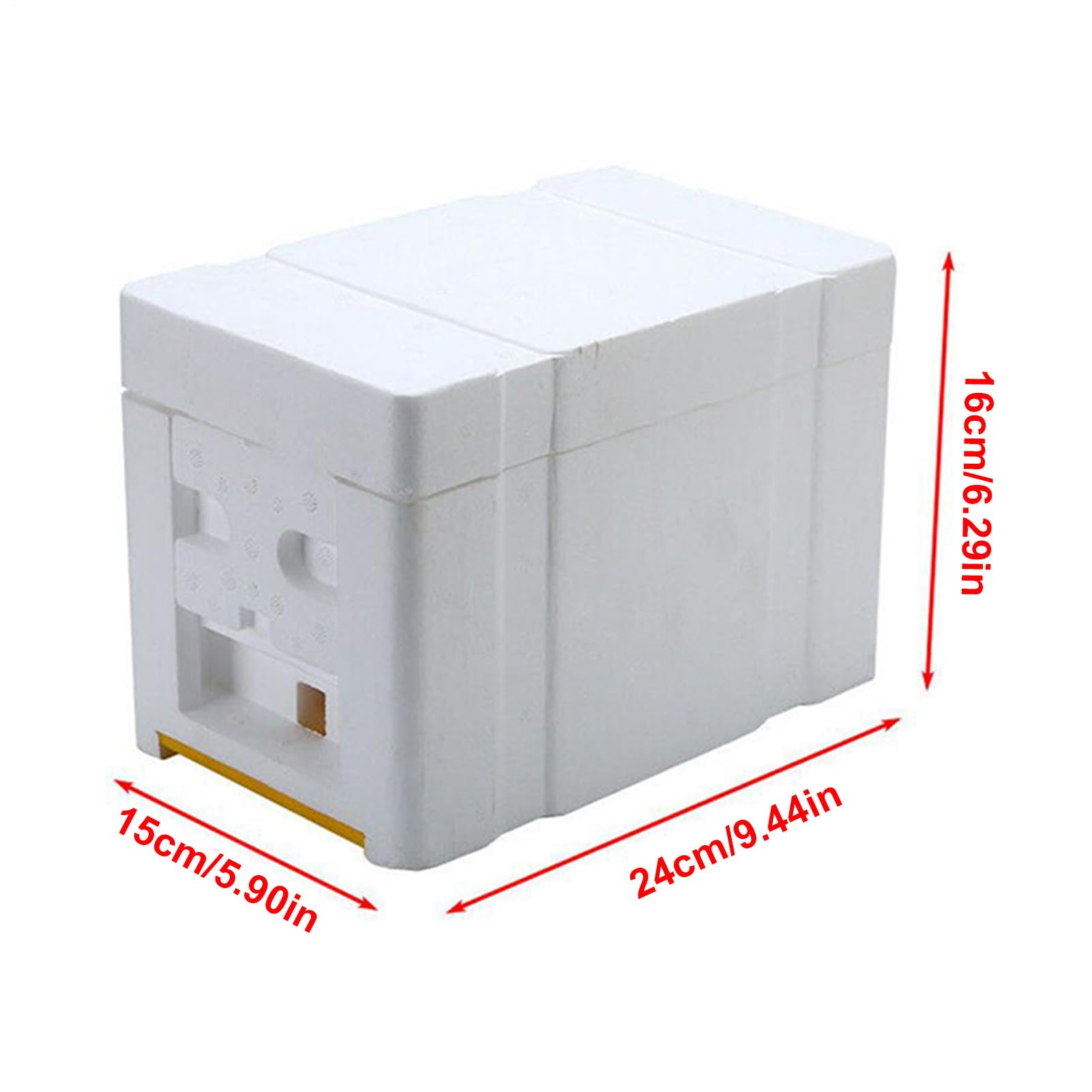 Boîte à ruche de soutien de la Reine - Optimisation des performances dans la ruche en mousse de mousse de série, accessoires de jardin avec compartiment pour débutants, terrasse de jardin d'hiberné