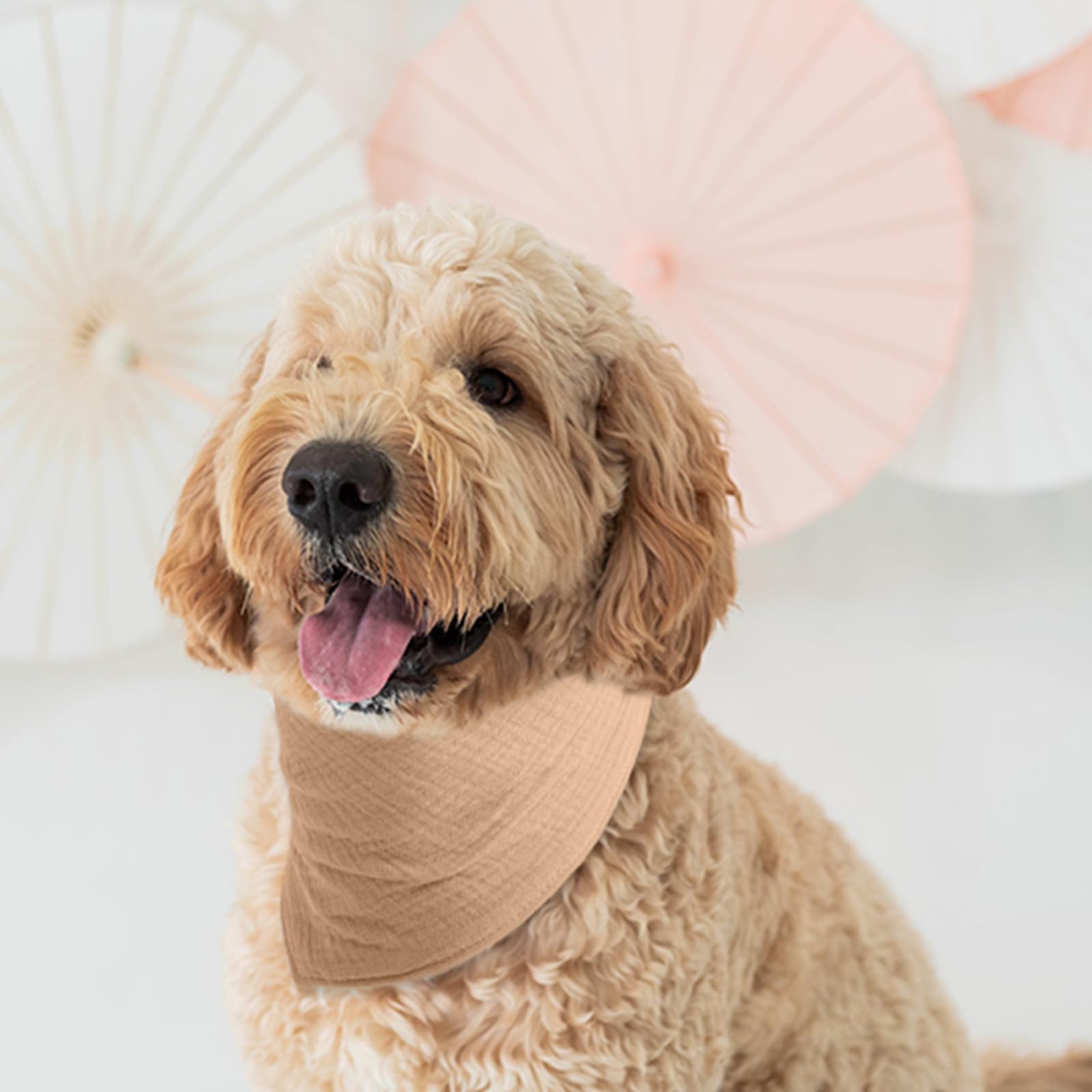 ICEMOOD Solid Color Dog Bandana- Adjustable Snap Button Soft Cotton Scarf for Medium or Large Dogs Coffee, Large,31lbs - 75lbs - Image 3