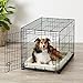 AmazonBasics Single Door Folding Metal Dog Crate Kennel with Tray, 36 x 23 x 25 Inches