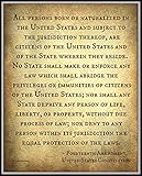 Fourteenth 14th Amendment United States Constitution American USA Lawyer Attorney art print Life Liberty Property Equality History poster Back to Law School Civil Rights art