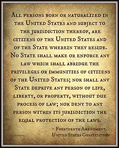 Fourteenth 14th Amendment United States Constitution American USA Lawyer Attorney art print Life Liberty Property Equality History poster Back to Law School Civil Rights art
