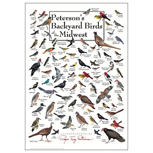 Earth Sky + Water - Peterson’s Backyard Birds of the Midwest