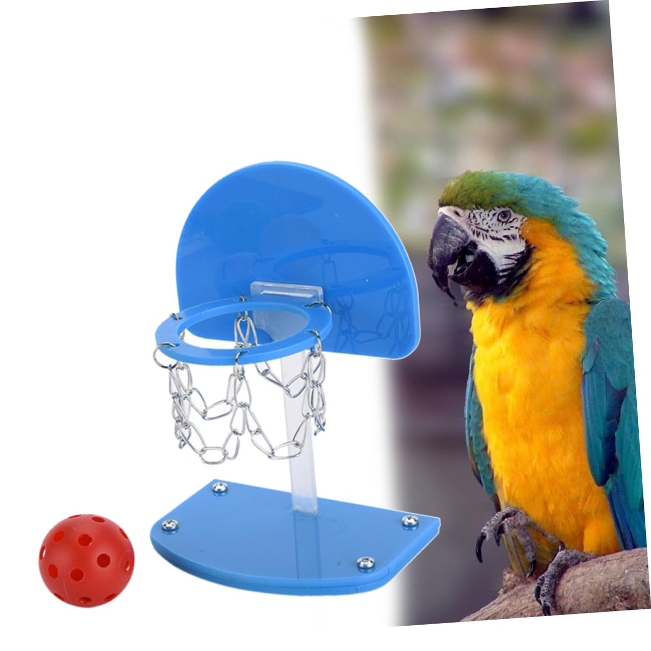 DECHOUS Mini Basketball Hoop Toy for Parrots Interactive Educational Bird Toy Indoor Wall Mount Parrot Basketball Game