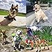 PG.KINWANG Dog Boots Waterproof Dog Shoes for Small to Large Dogs with Reflective Velcro Rugged Anti-Slip Sole Pet Paw Protectors Labrador Husky Black 4 Pcs (Size 6: 2.9''x2.5'')