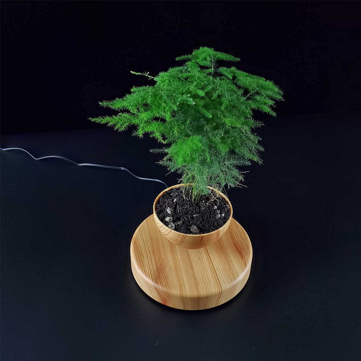 Pot De Bonsaïs À Air en Lévitation Plateau pour Plantes De Maison, 360 Degrés Pot De Bonsaï Flottant À Lévitation Magnétique Grain De Bois Pot De Fleurs Flottant pour Cadeau De Vacances