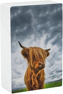Highland Cow in The Scottish Highlands Plastic Cigarette Cases Portable Cigarette Box Cigar Boxes Pocket Cigarette Storage Containe