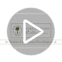 Charleston Estate Modern Farmhouse Floral Matelasse Bedspread with Scalloped Edges, 100% Cotton Breathable Bedding, Full/Queen, Ivory Floral