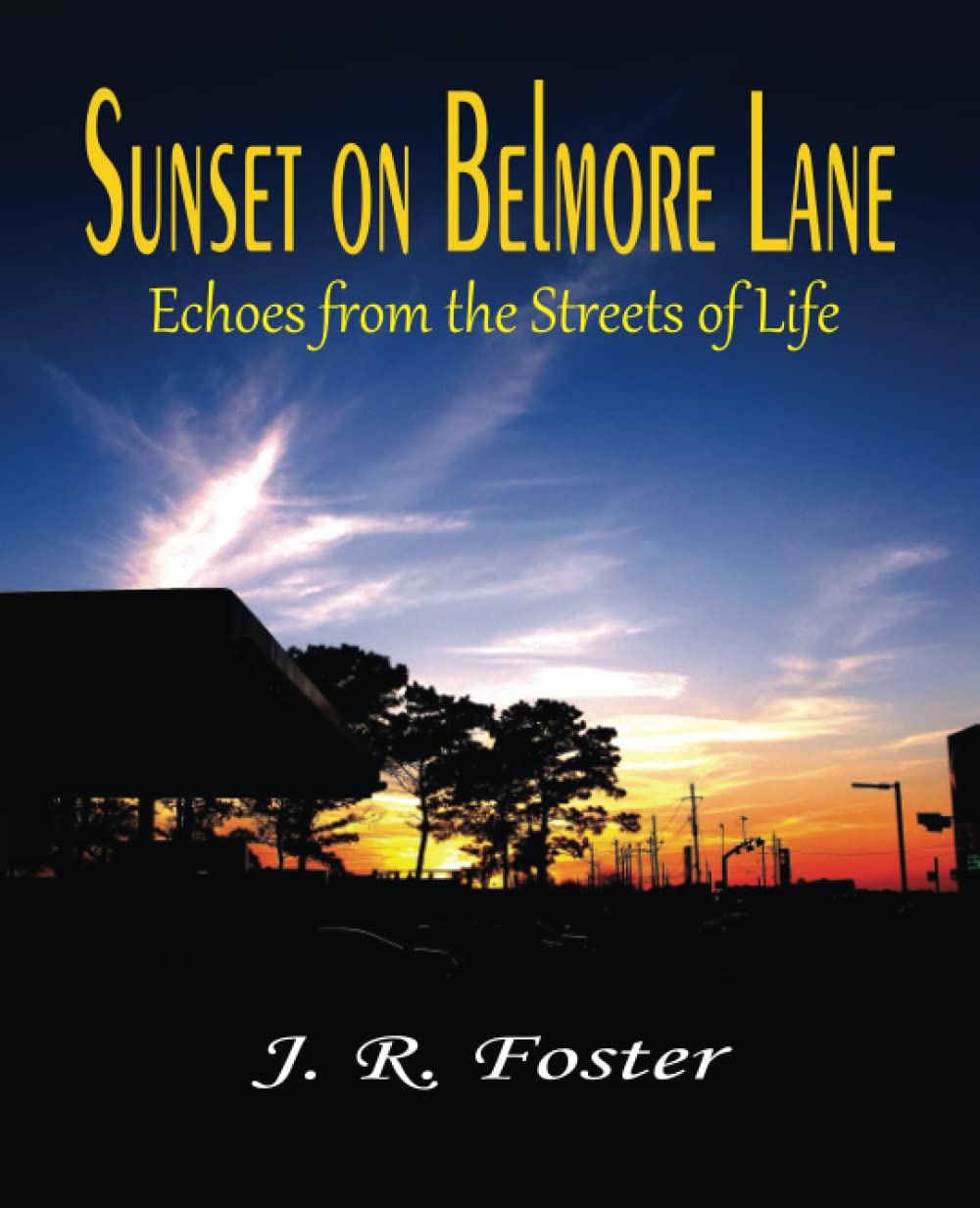 Sunset on Belmore Lane: Echoes from the Streets of Life