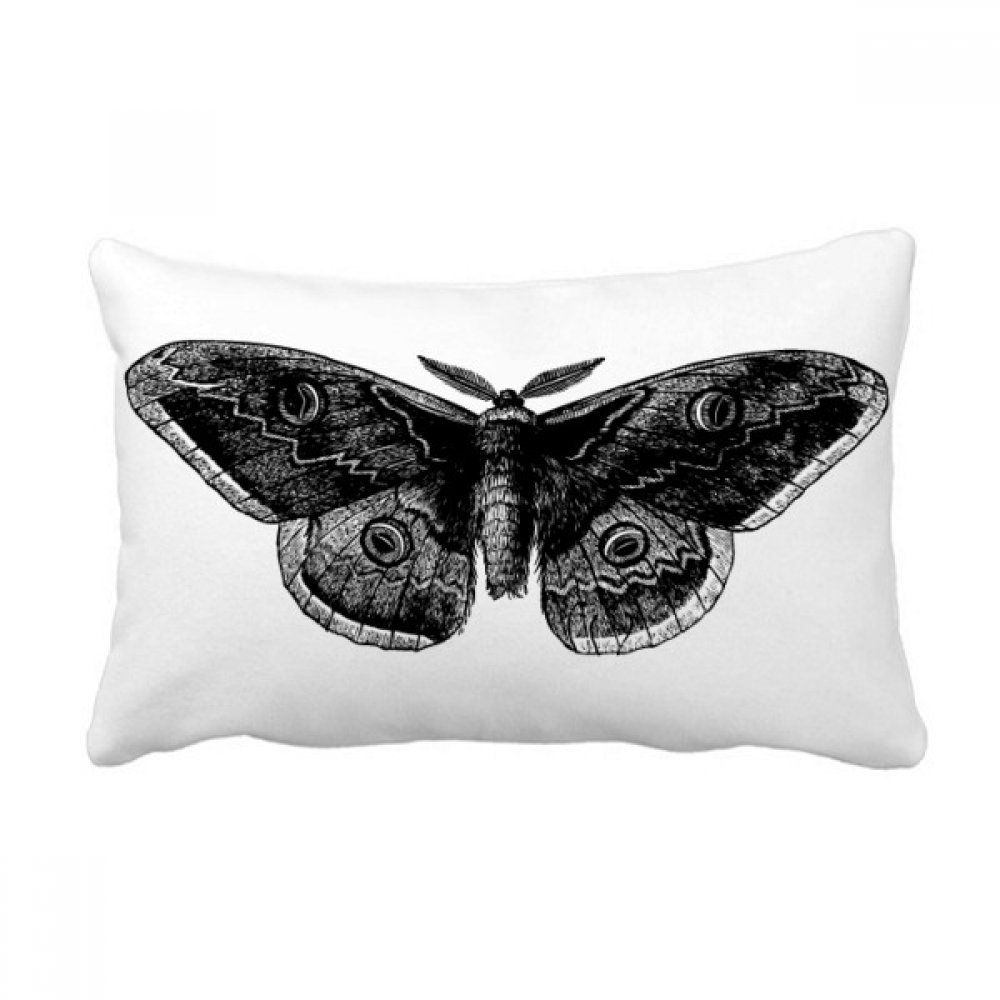Coussin lombaire cerf-volant papillon noir 40x60 cm oreiller canapé multicolore