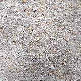 Vogelsand Test