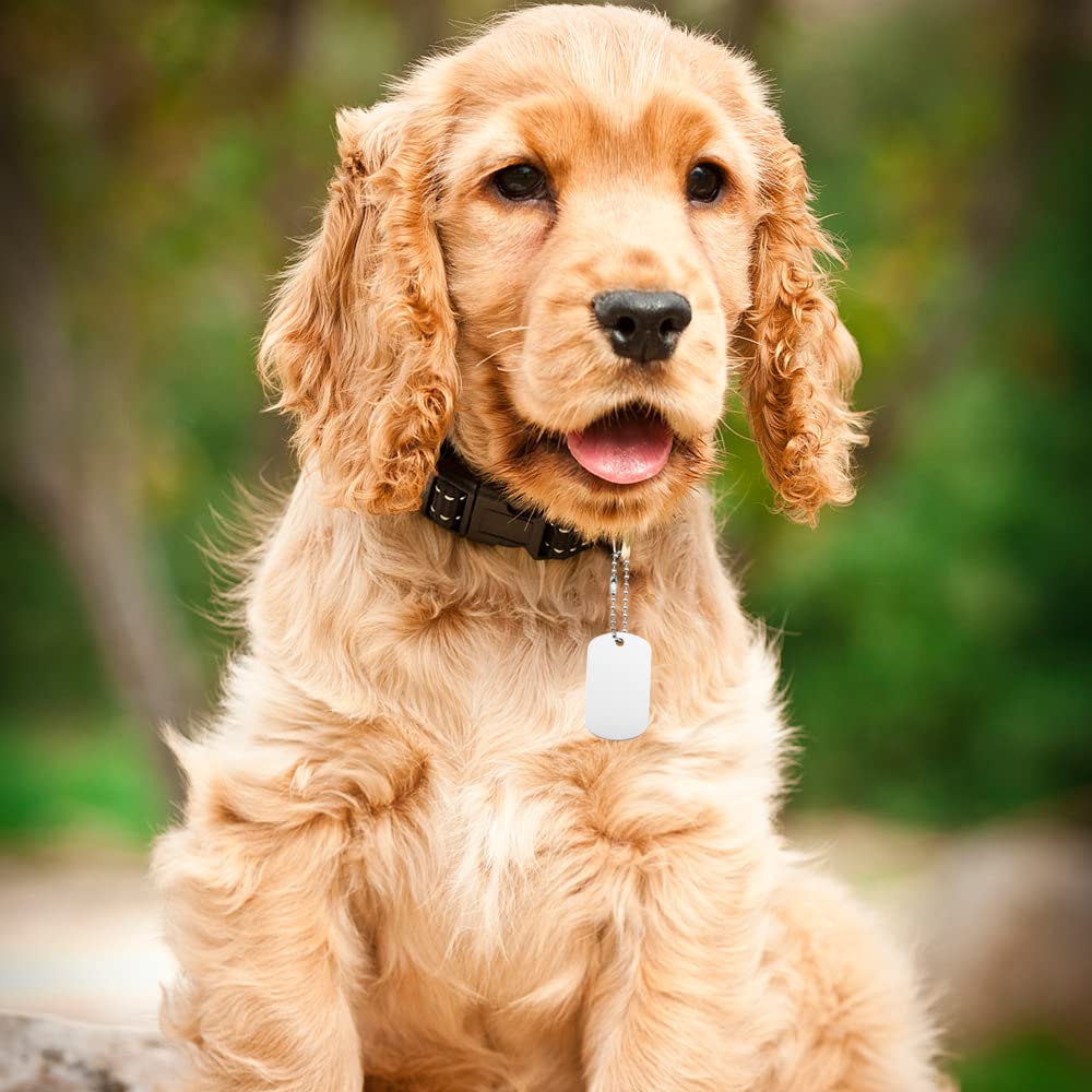 25 Targhette Per Cani In Alluminio - Personalizzabili Con Incisione - Foto 2