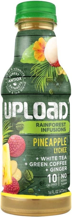 UPLOAD Pineapple Lychee +Green Coffee +Ginger +White Tea, Rainforest Infusions, 16 Fl. Oz. Bottles (Pack of 12)