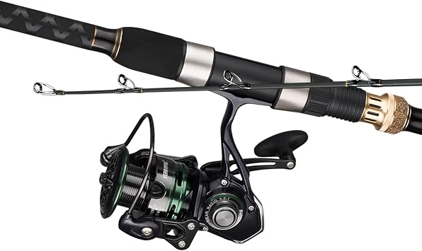 BERRYPRO 10 Surf Spinning Rod and 4000 Size Metal Spinning Reel
