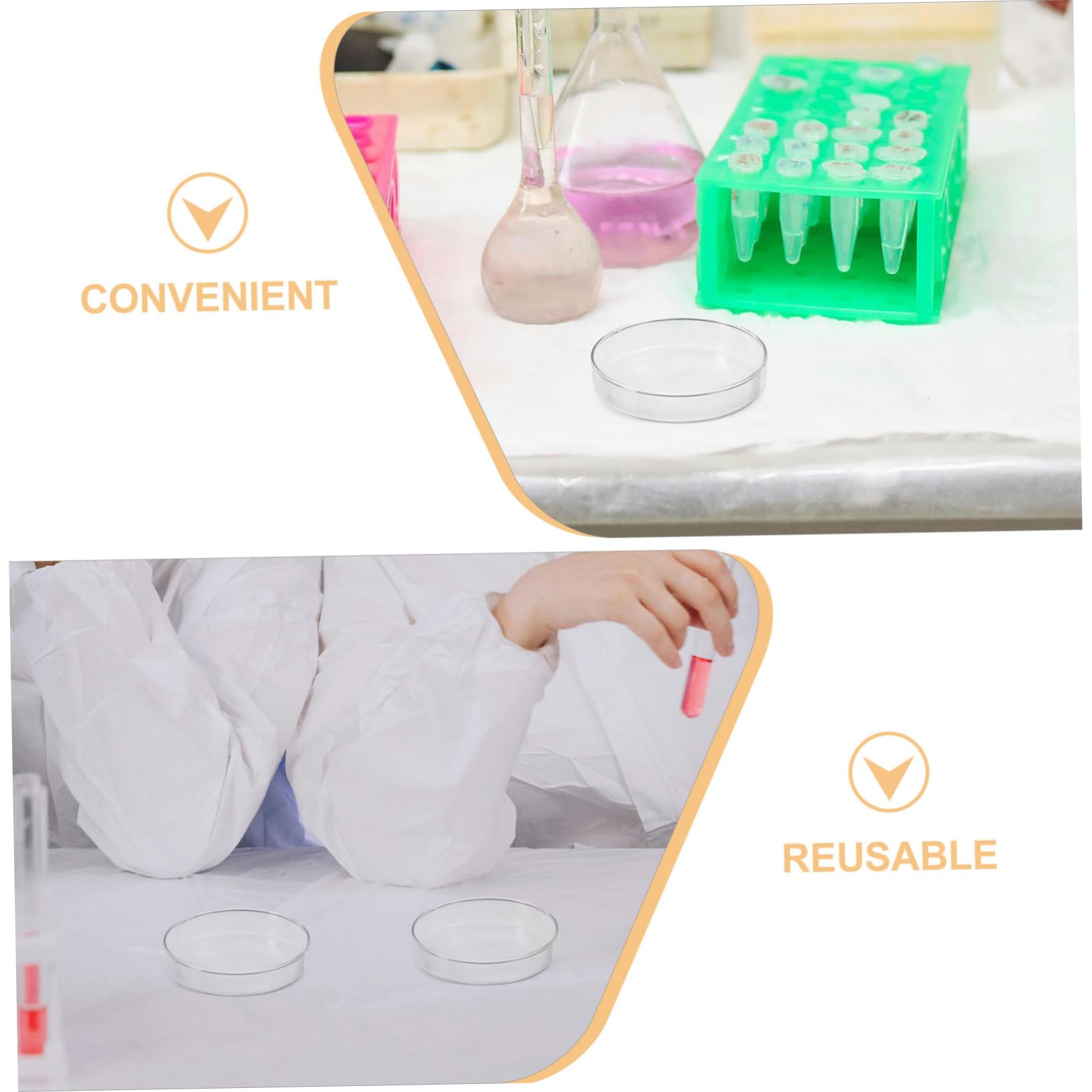 5 Placas De Petri Para Experimentos Científicos Placa De Laboratorio Transparente