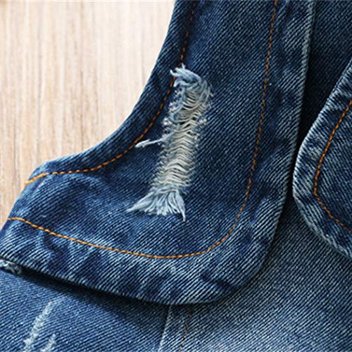 Colorful Childhood Toddler Girls Princess Dresses Baby Girl Denim Mesh Gauze Skirt Casual Jean Vest Jacket Dress Black Size 3-4T #TOP5