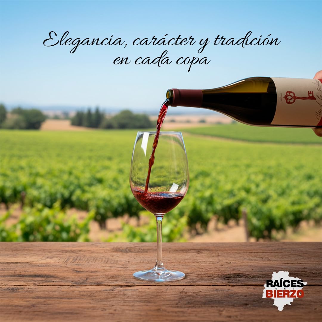 Alto de la Judiega Crianza D.O del Bierzo | Cosecha 2020 | 100% Mencía en roble francés | Pack de 6 botellas de 750ml