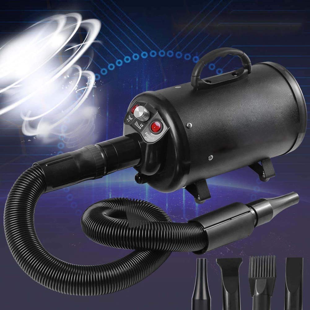 Secador para Perros, secador de Aseo para Perros de Secado rápido, soplador Profesional, Velocidad Ajustable Continua, reducción de Ruido, secador de Aire Forzado de Alta Velocidad