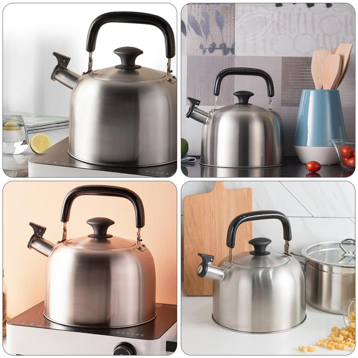 Bollitore Inox 4,5 l Fischio, Acciaio Inossidabile, Bocca Ampia