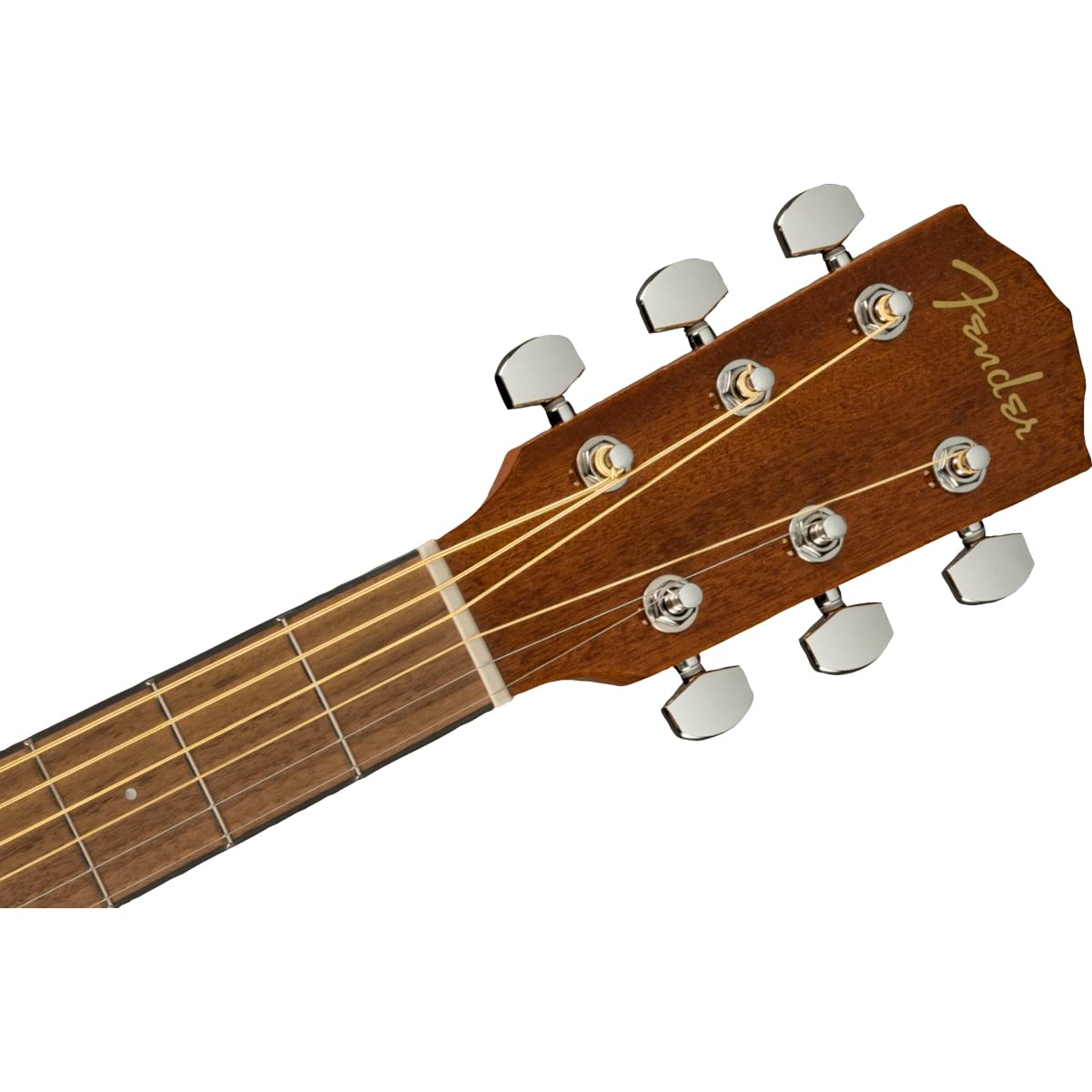 Amazon | Fender/Limited Edition CD-60S Exotic Dao Dreadnought