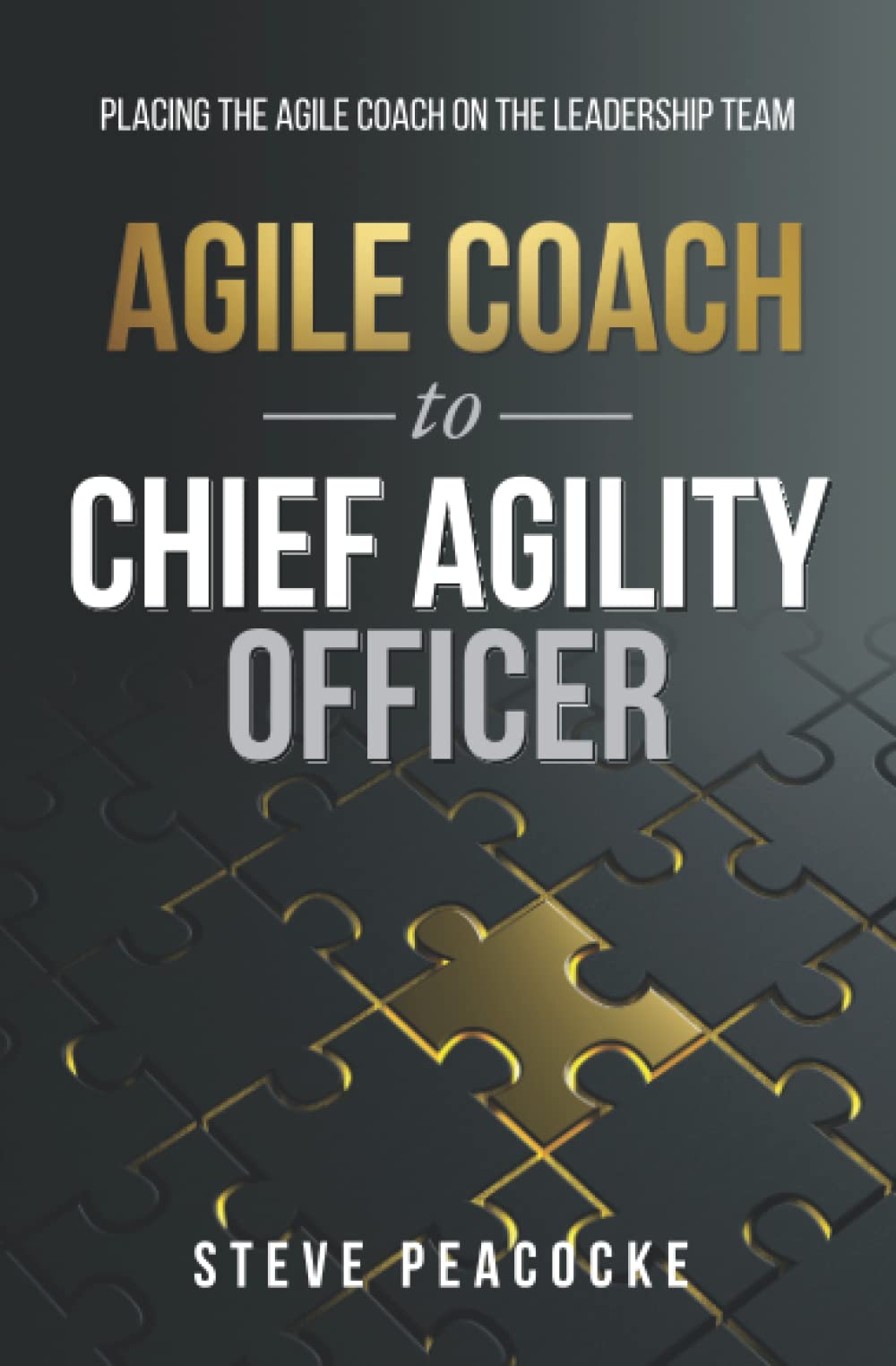 Agile Coach to Chief Agility Officer: Placing the agile coach on the leadership team