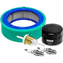 EPR Tune Up Maintenance Kit Compatible with Briggs and Stratton 5119A 394018S Vanguard V-TW & LT166 LT170 SST16 LX288 GT235