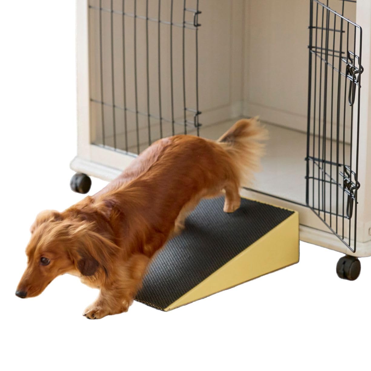 Amazon | 犬 シニア スロープ わんこスロープ ゆるやか 段差 老犬