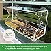 Large Window Bird Feeder with Strong Suction Cups - Innovative Anti-Yellowing Acrylic - Largest Seed Tray on The Market - No Assembly - Fathers Day