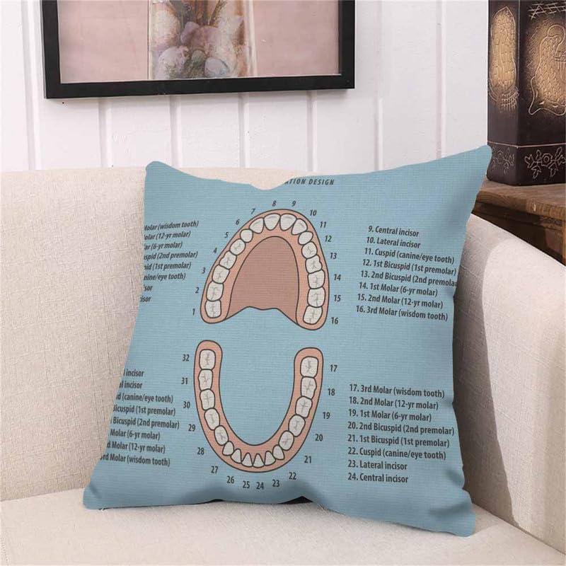 Image of Throw Pillow Covers Pink Education Tooth Chart Number Infographic on Blue Dental Human Anatomy Pillow Case 18x18 Inch Cushion Cover for Home Party