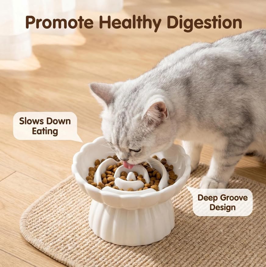 4-in-1 Ceramic Cat Slow Feeder with Lick Mat, Raised Slow Feeder Cat Bowl, Cat Licking Pad with Suction Cups, Anti Vomiting and Whisker Friendly, Non-Toxic