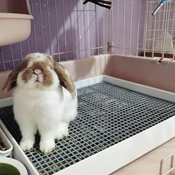 Petlex Rabbit Litter Box with Grate, Super Large Guinea Pig Litter Pan for Cage, Bunny Restroom Litter Tray Small Animals Toilet Potty Trainer for Rabbit Hamster Ferret Rats Guinea Pigs Hedgehog