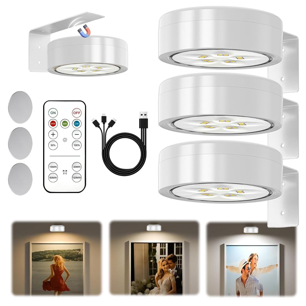 Fiotha 3 Pcs Draadloze Schilderijverlichting, Draadloze Schilderijverlichting Met Afstandsbediening, Led-Schilderijlamp, Schilderijlijstlamp Zonder Boren, Schilderijlamp Met 3 Lichtkleuren