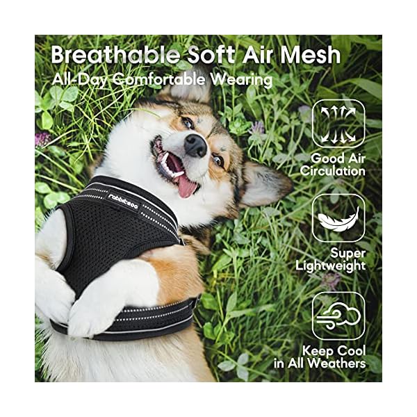rabbitgoo-Small-Dog-Harness-Step-in-Soft-Mesh-Dog-Harness-with-4-Adjustable-Straps-No-Pull-Dog-Vest-Harness-with-Double-Clips-Reflective-Strips-Escape-Proof Small Dog Harness with Double Clips