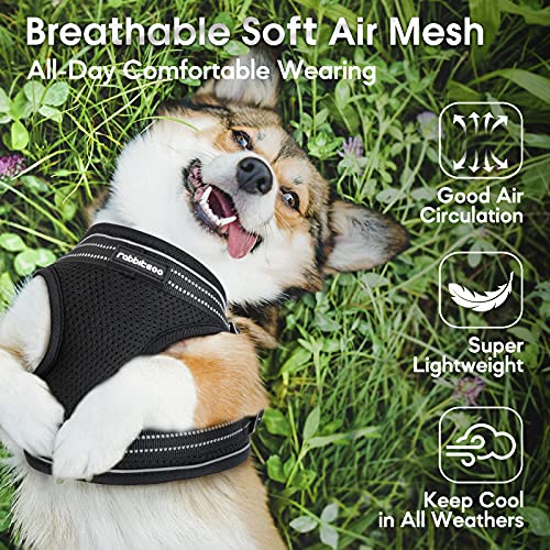 rabbitgoo Small Dog Harness, Soft Mesh Dog Harness with 4 Adjustable Straps, No Pull Dog Vest Harness with Double Clips… - Image 3
