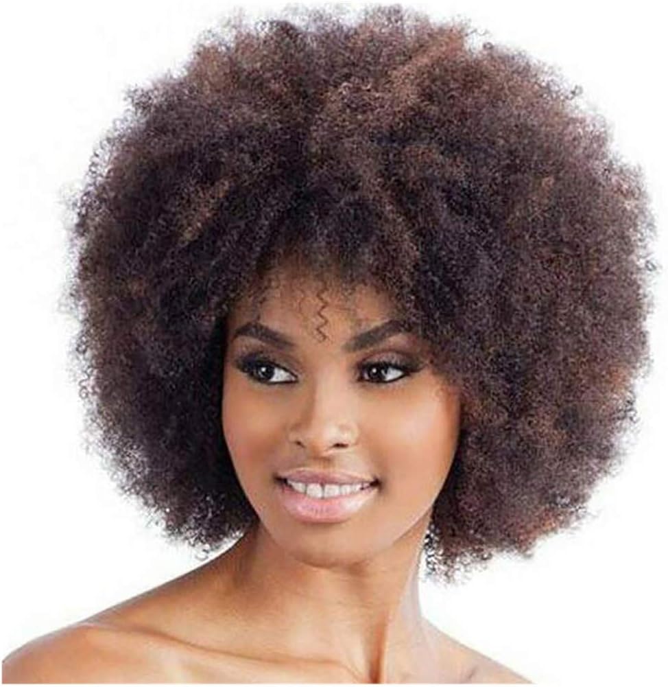 Dumanfs Brown Curly Wigs For Women Synthetic Short Afro Wig African American Natural