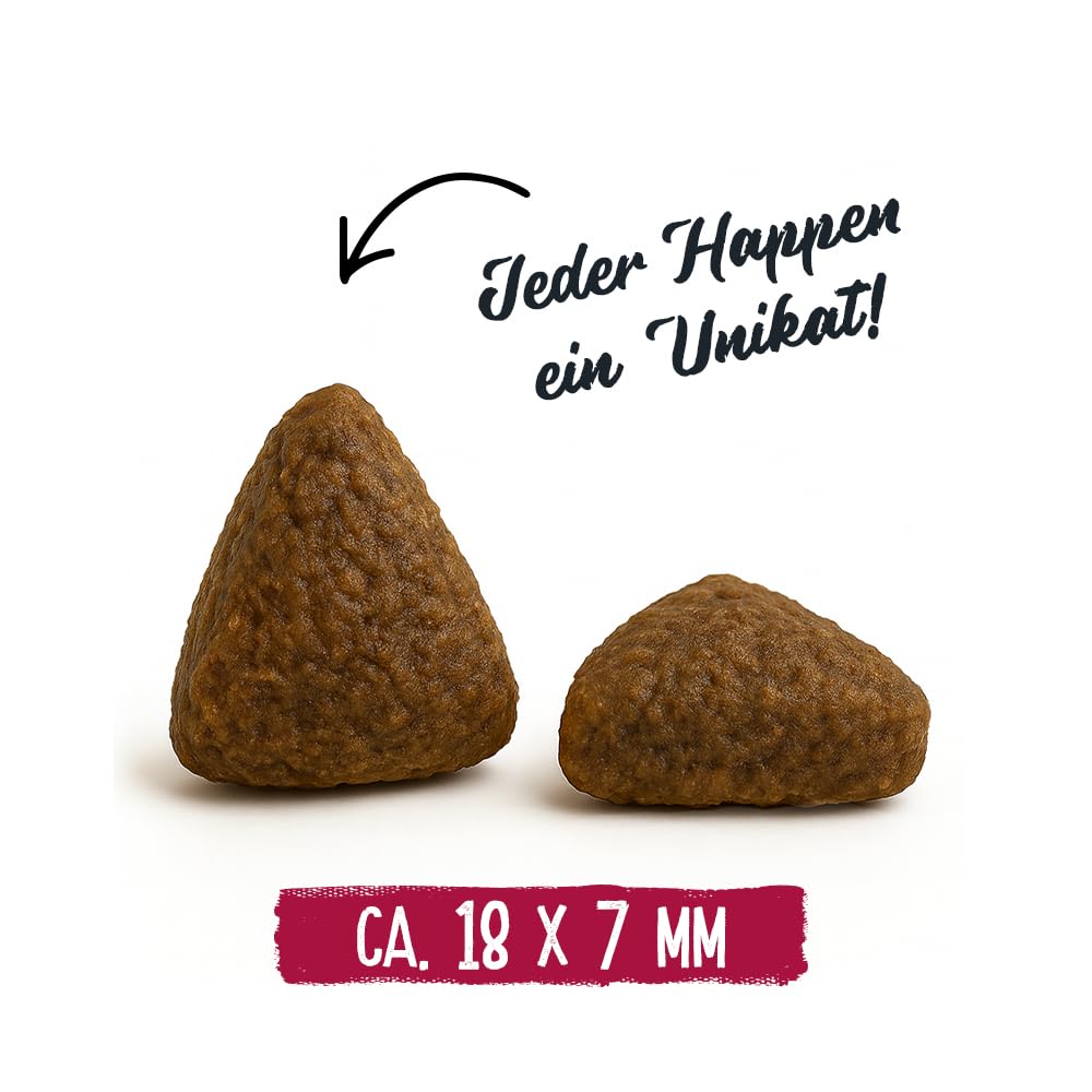 Chicopee HNL Active Salmon & Potato sucha karma dla psów, 12 kg, od Bosch | karma dla psów | kanadyjska receptura | Made in Germany | marka Bosch Tierpokarm