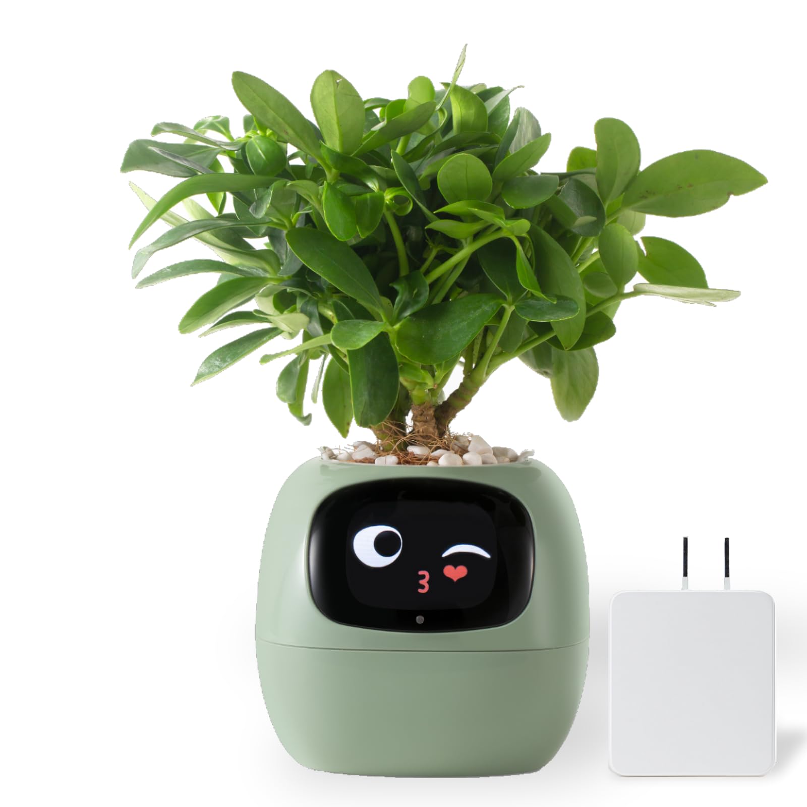 スマートプランター アイビー Smart planter Ivy 新生活 お友達 観葉植物がペットに大変身！？植物の気持ちがわかるスマート