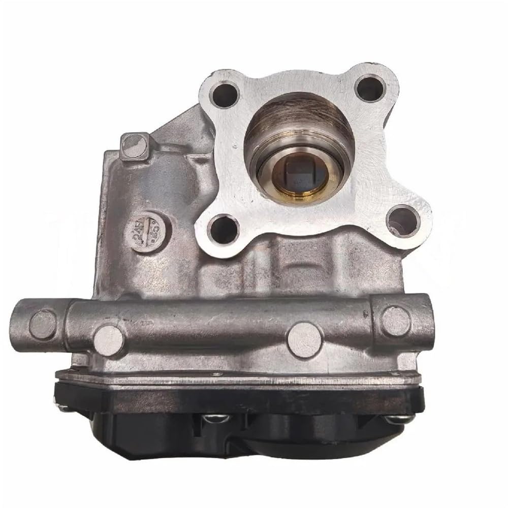 EGR Valve S550203C0 Replacement Part Exhaust Gas Recirculation