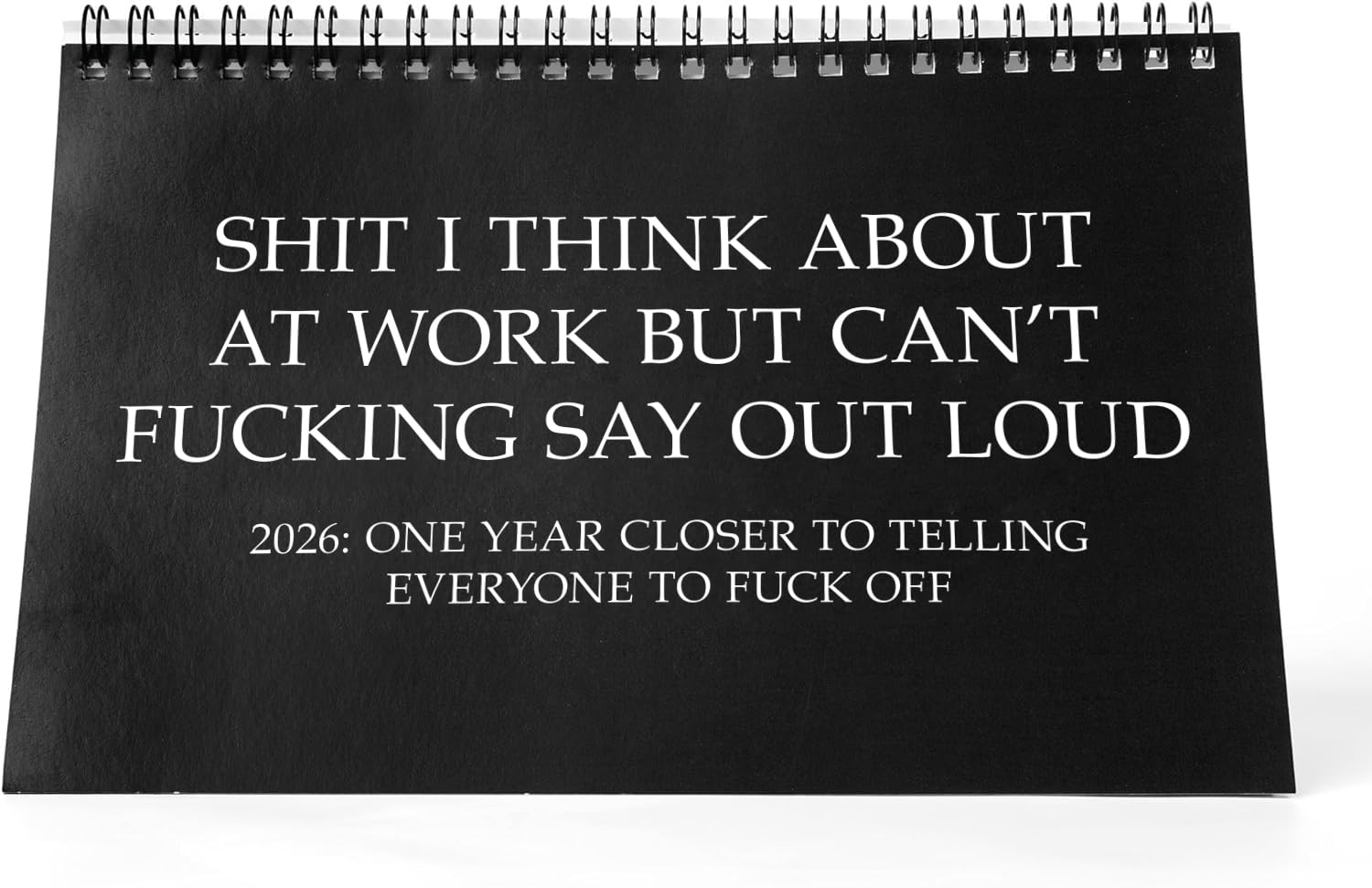 Fuck It Desk Calendar 2024, Funny Novelty Monthly Desktop Calendar for