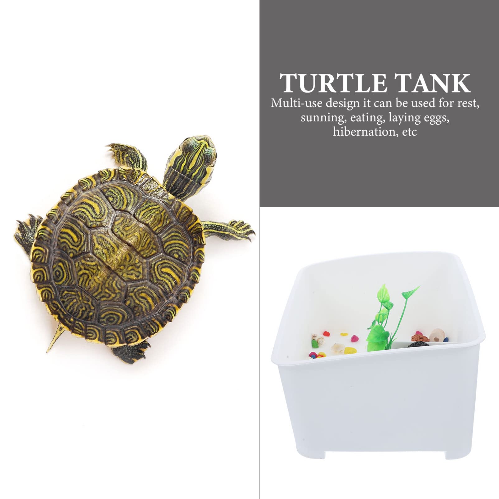 POPETPOP Cuenca de Cría del Tanque de Tortugas con Plataforma Plantas para Hábitat de Reptiles y Tortugas Casa