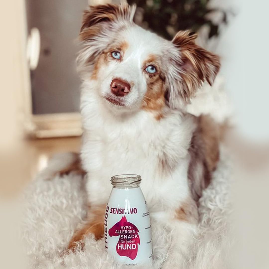 Hunde Smoothie SmoothieDog 6er Sensitivo (Pferd) - Hypoallergener Snack & Leckerli für Sensible Hunde - Zucker- & glutenfrei - je 250ml