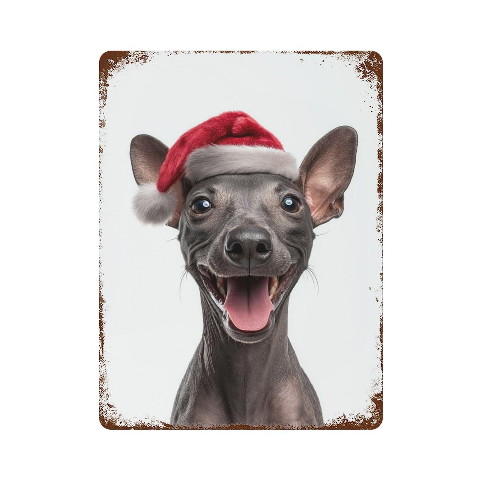 Festive American Hairless Terrier with Santa Hat 15.7"x11.8" Aged Metal Wall Plaque, Retro Wall Decor for Farmhouse, Kitchen And Entryway Decor