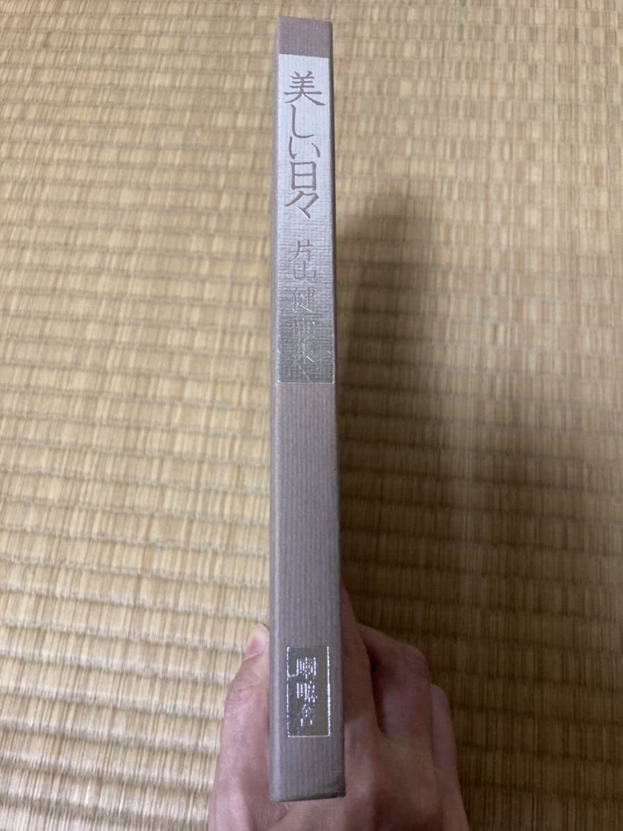 Amazon.co.jp: 画集 片山健 美しい日々 帯付 喇嘛舎 : おもちゃ