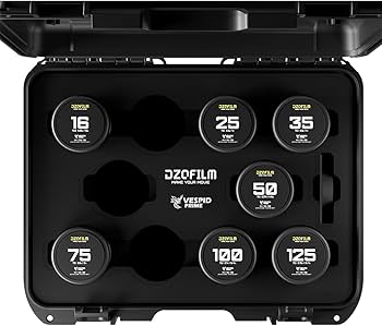 Amazon.com : DZOFILM Vespid Prime Cinema 7-Lens Kit V2 with 25mm