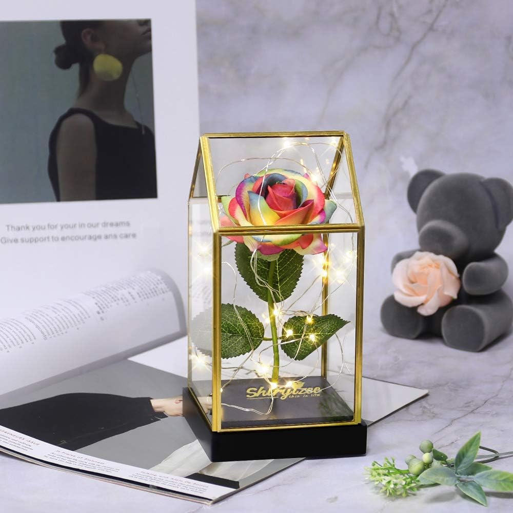 regalo della casa per un amico