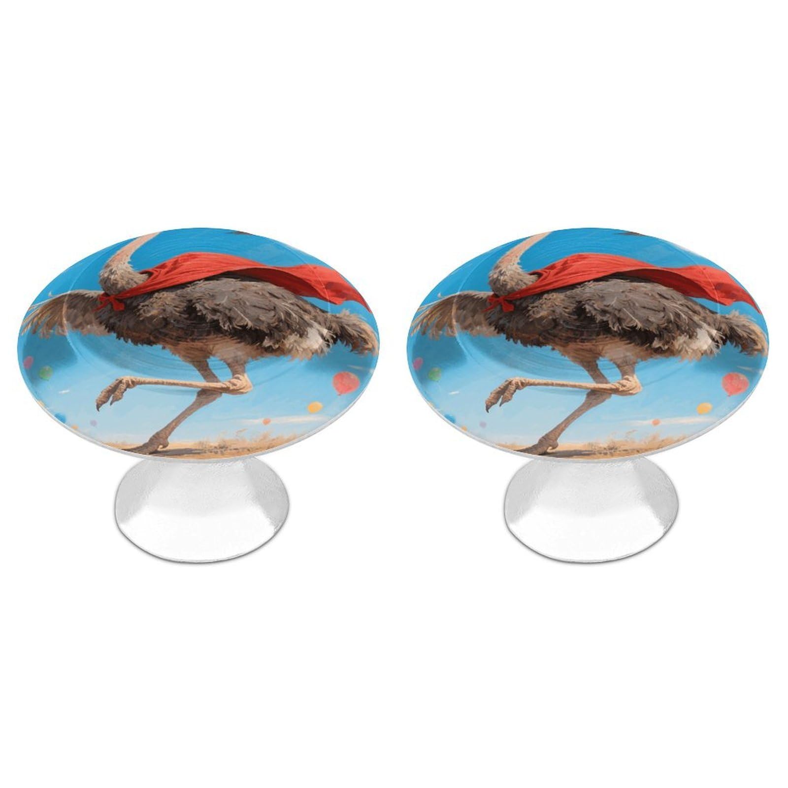 Vstadank Style Ostrich Drawer Knob Nice Bathroom Cabinet Knob Round Cabinet Pull Stainless Steel Cabinet Handle Circle Drawer Handle Modern Drawer Pull For Wardrobe Cupboard 2 Pcs