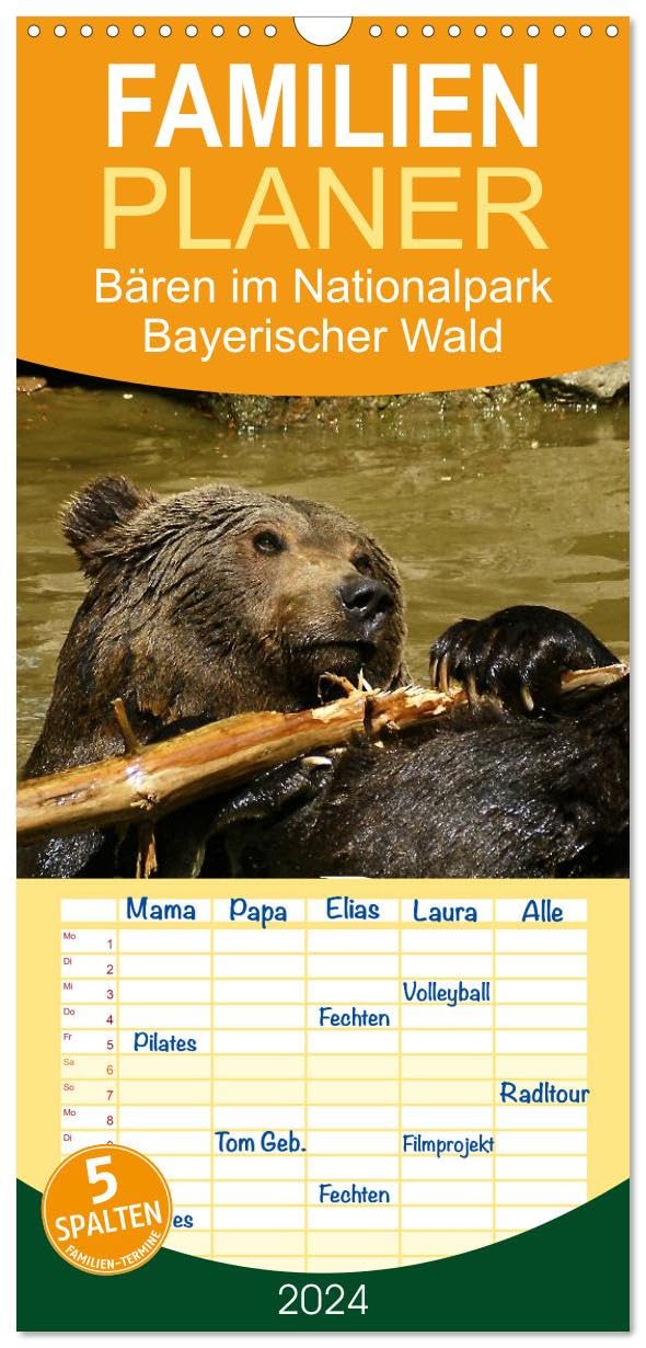 Familienplaner 2024 - Bären im Nationalpark Bayerischer Wald mit 5 Spalten (Wandkalender, 21 cm x 45 cm) CALVENDO