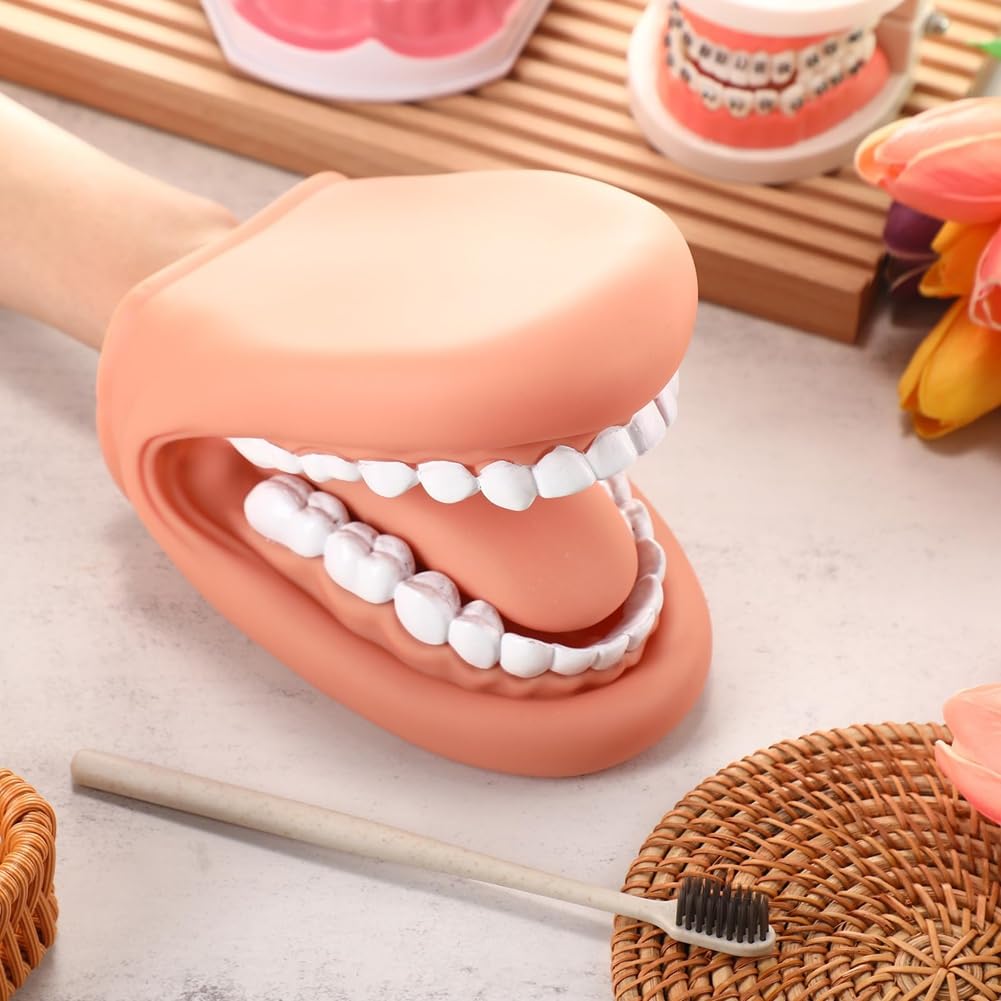 Maniquí boca con lengua y dientes, marioneta de mano, modelo dental con cepillo, herramienta de aprendizaje